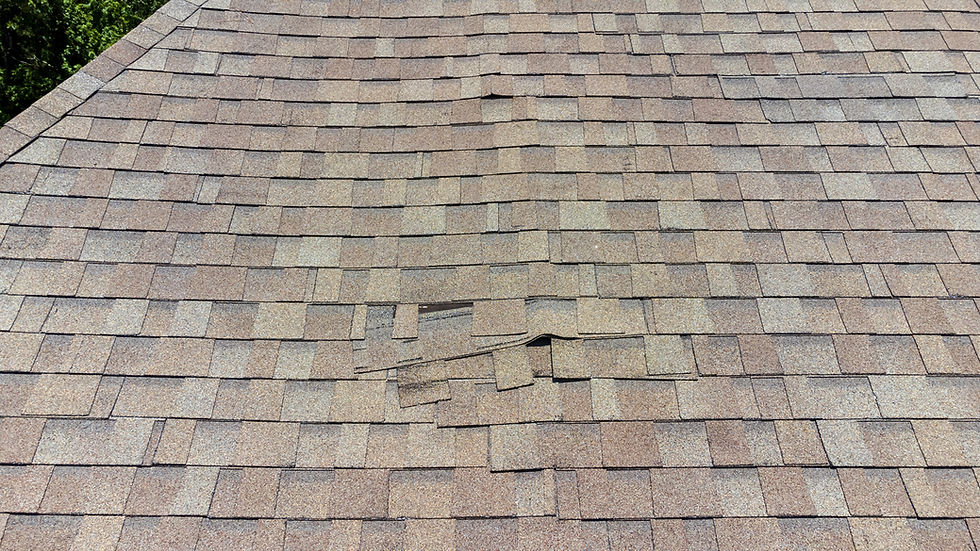 Damaged Commercial Roof Shingles in Calgary