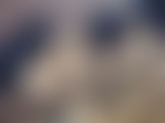 A brown metal-roofed house with triangular dormer windows. The exterior walls are white with wooden trim. An AC unit is visible outside.