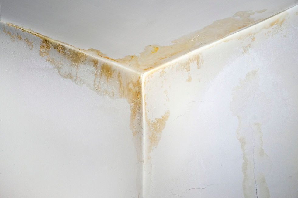 Roof leak stains on Calgary homeowner’s ceiling