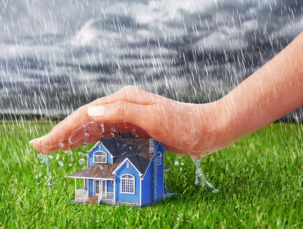 Protecting your roof from rain