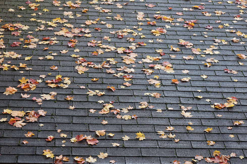 Calgary fall commercial roof inspection team