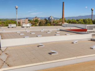 Flat industrial rooftop with multiple skylights under a clear blue sky. Background features trees, smokestacks, and distant hills.