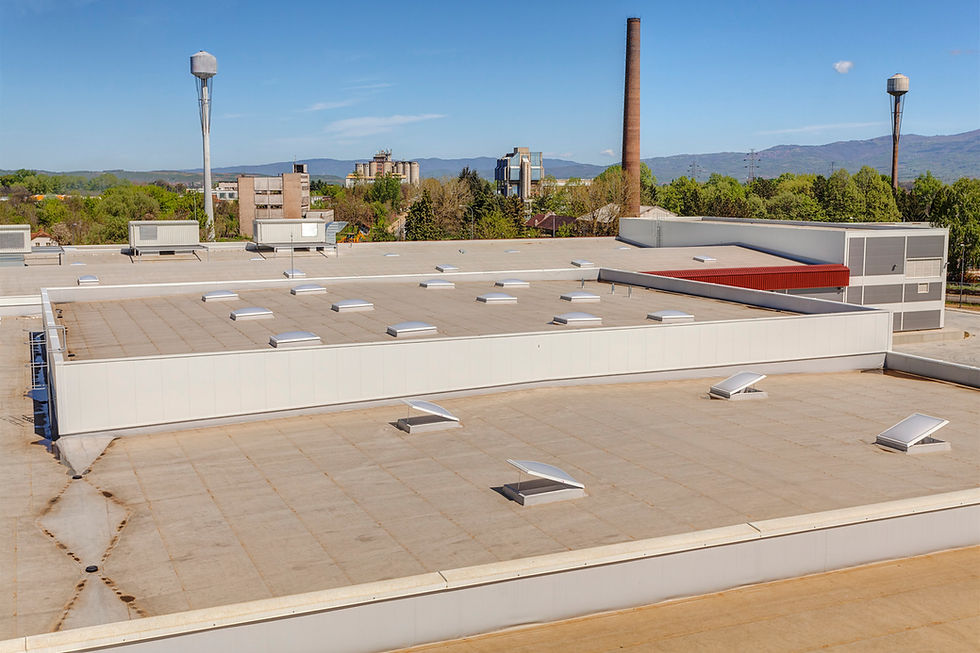Flat industrial rooftop with multiple skylights under a clear blue sky. Background features trees, smokestacks, and distant hills.