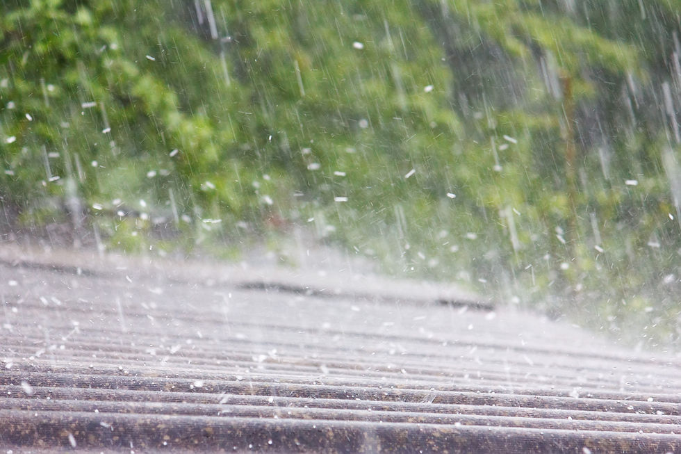 Heavy rain splashing on a wooden deck, with blurred green trees in the background.