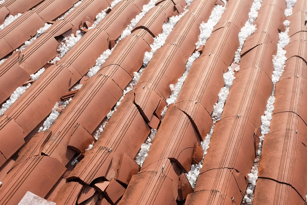 Close-up of hail-damaged shingles on Calgary home.jpg
