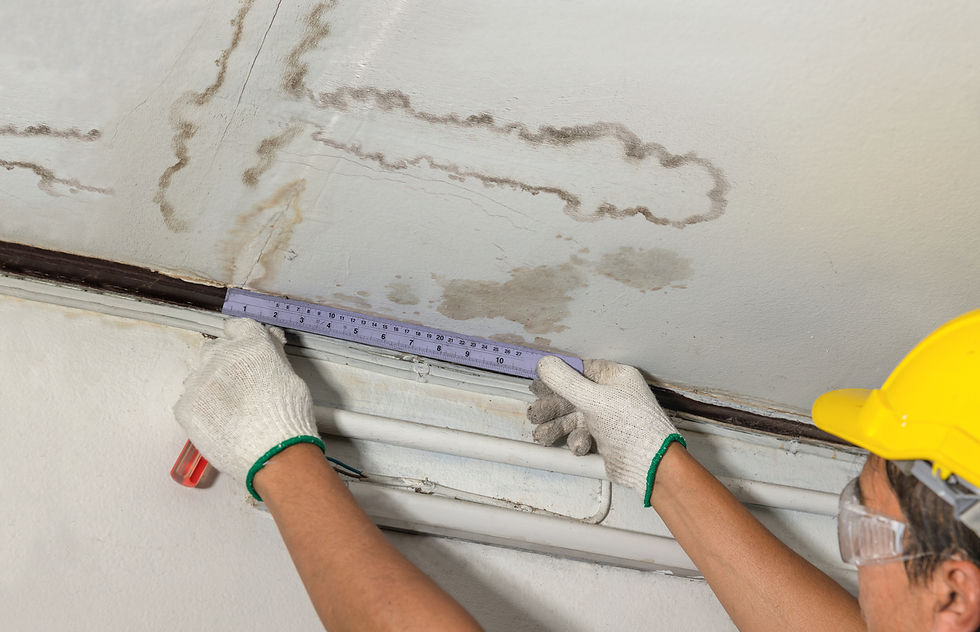 Calgary commercial roof leak inspection in progress