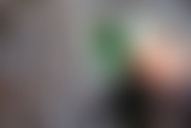 The Free Spring (Drinking Water) - natural spring water