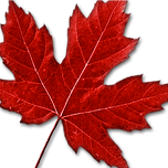 clipart1683032.png