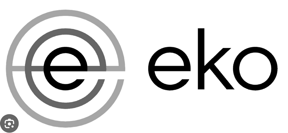 Eko logo with concentric 'e'