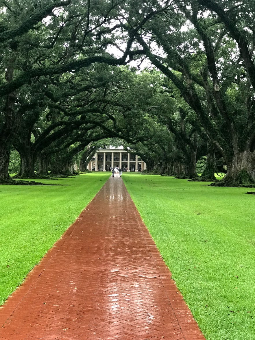 The Alley of Oak Trees