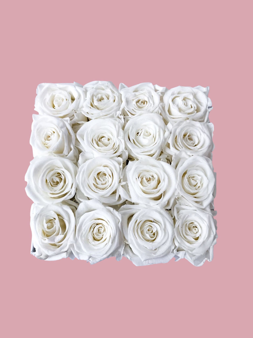 Thumbnail: Forever Preserved Roses