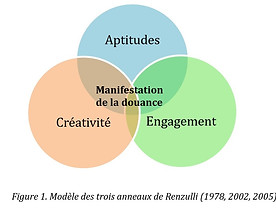 modele-renzulli.jpg