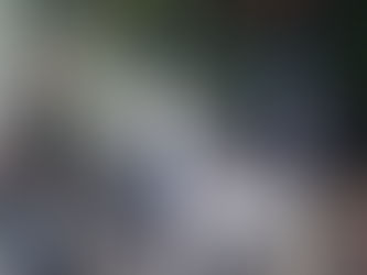 AFRO PREPARA A CASA PALMARES PARA FESTEJOS JUNINOS