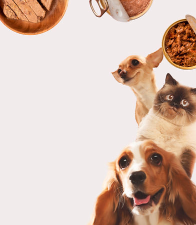 private-label-pet-food