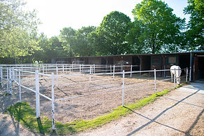 DSC_8750.jpg