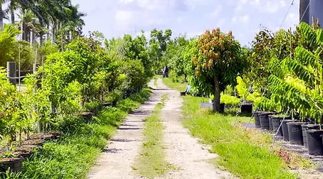 67f5904e3fbd7.image.png.webp