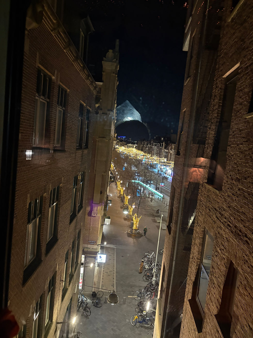 The view through the window