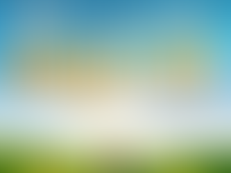 The Unlikely Pilgrimage of Harold Fry