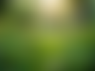 The Importance of Sustainable Living in Today's World