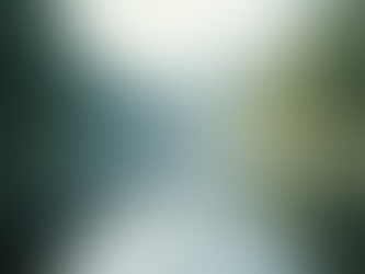 The Power of Mindfulness in Everyday Life