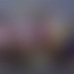 75. Monster Energy FIM Motocross of Nations'ı kazanan ABD Takımı için Mutluluk Günü!