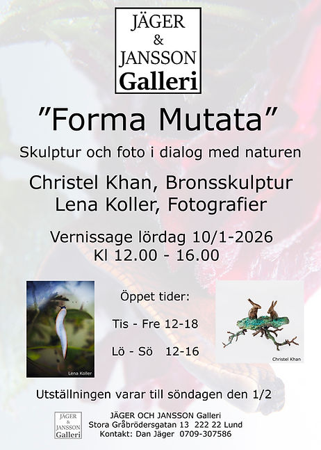 Affisch Koller och Khan Galleri Jäger Webformat.jpg