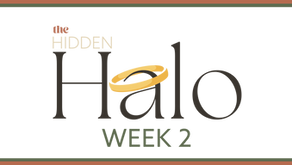 HOMILY JANUARY 25, 2026