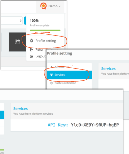 pp-app-user-guide-api-1b.png