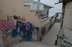 DSC_3421.jpg