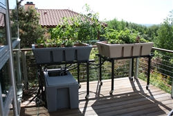 TPDAS108-2T.jpg