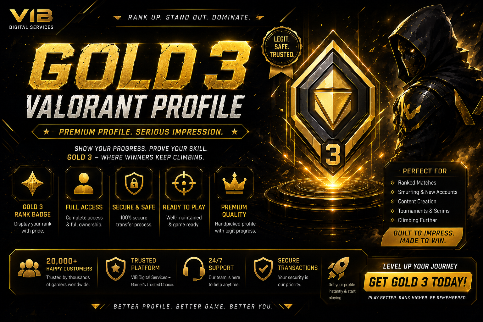 Gold 3 Digital Profile