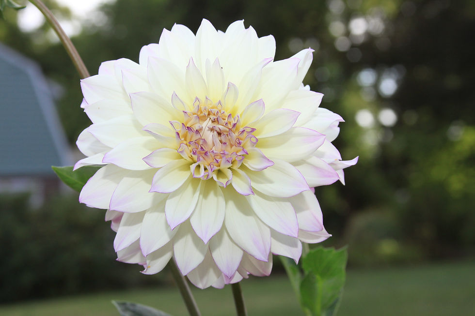 Field Trip to Gloucester Harbor [members only]