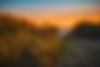 grassy-sand-dunes-at-sunset-creating-a-peaceful-coastal-scene..jpg