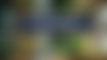 Make your restaurant eco-friendly