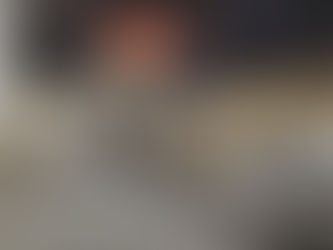 Phase I Property Inspection - Fremont, IN