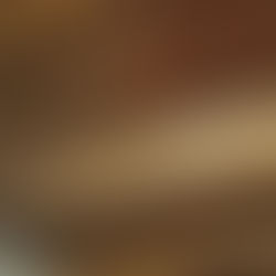 Mold Remediation - Pemberville, OH