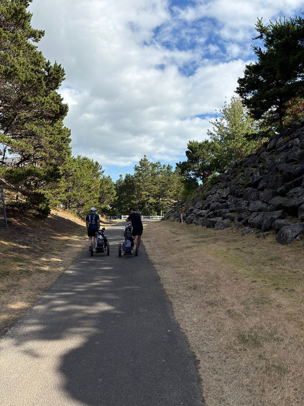 Image - 2026-06-16T204644.187
