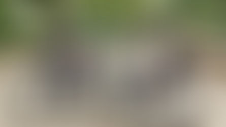 Opinion: Mountain Bikes To An Extent Are Region Specific!