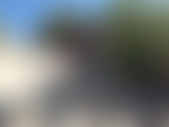 ARI Delano Peak Review! (The Bike For Anyone and Everyone)