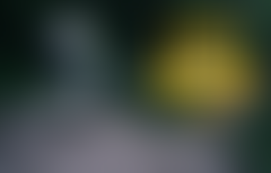 Loam Pass Announces Winners of the 2024 Rider’s Choice Awards Presented by Crankbrothers!