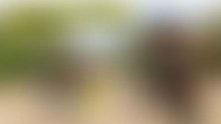 How Much Travel Is Too Much Travel? (Rocky Mountain Slayer Review)