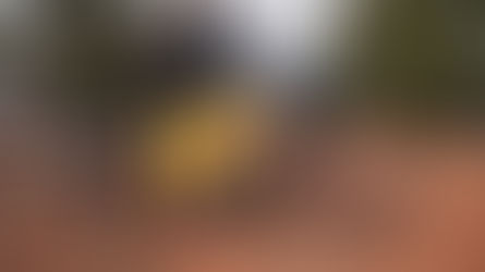 What Bikes Are People Riding at The Sedona Mountain Bike Festival 2024? (Day 1)