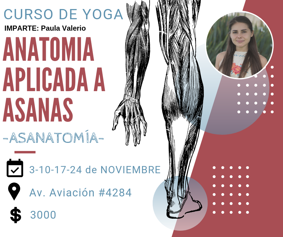 Curso de anatomía básica de YOGA (1)