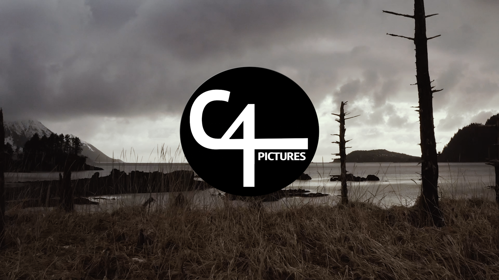 C4 Pictures logo