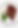 4F14B6B3-E12C-4F98-89AC-5588B52B1A98.png