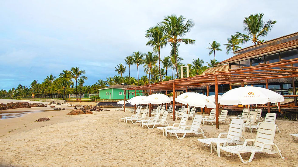 Miniatura: Cana Brava Resort