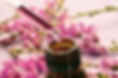 fleurs-de-bach-pipette-vignette_edited.jpg