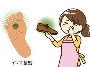 『イソ吉草酸とは・・・』