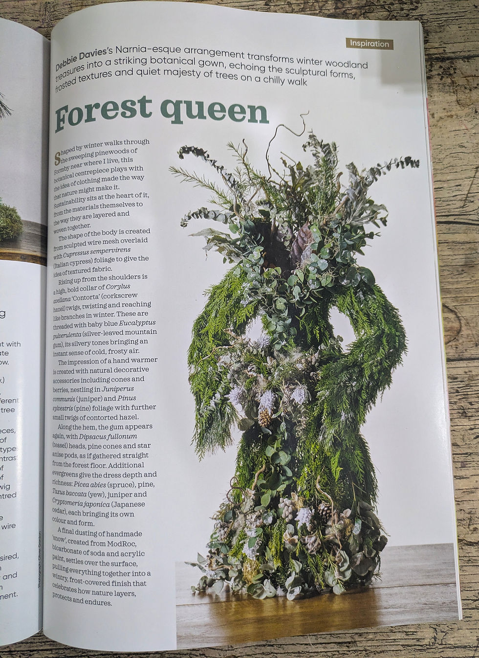Forest Queen botanical floral sculpture by Debbie Davies featured in the winter edition of The Flower Arranger magazine.