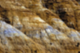AdobeStock_13926403.jpeg